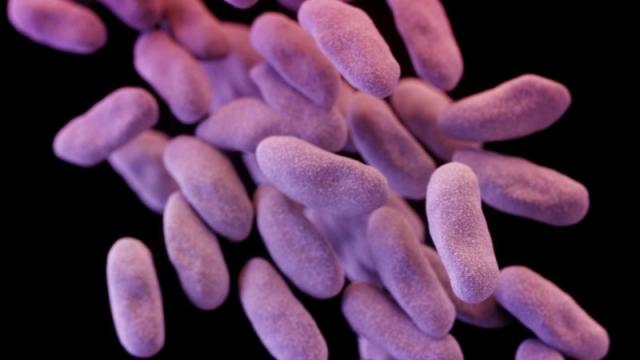 That Scary Antibiotic-Resistant Superbug Is Now In The US