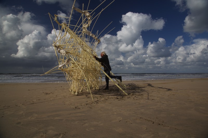This Artist Builds Kinetic Sculptures That Run On Windpower And Evolve Like Living Beings