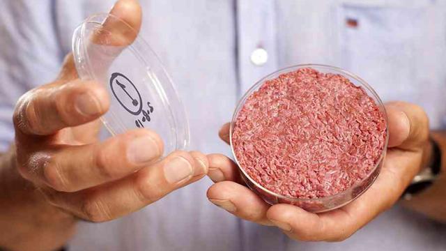 The Future Will Be Full Of Lab-Grown Meat