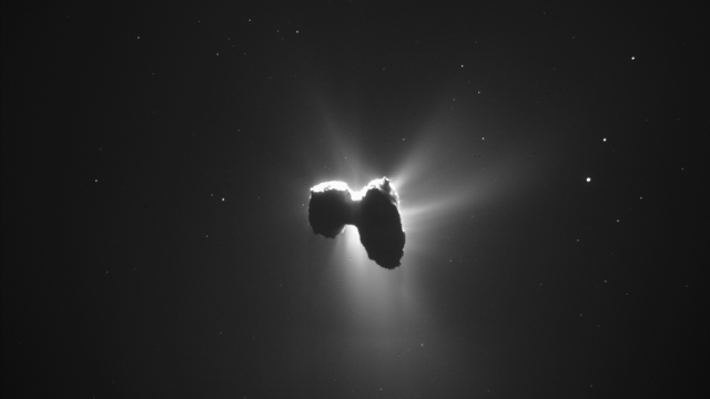 Rosetta Finds The Building Blocks For Life On Comet