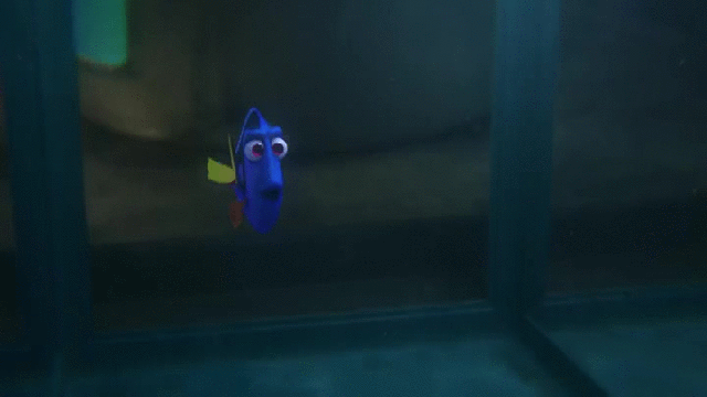 Check Out These Three New International Trailers For Finding Dory
