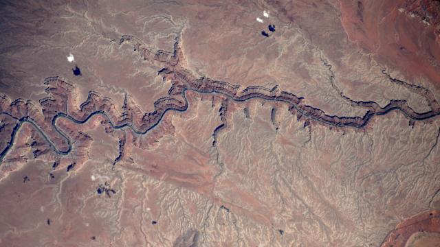 The Colorado River Is A Blue Ribbon In The Desert When Seen From The ISS