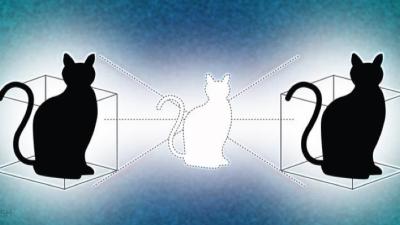 New Quantum ‘Cat State’ Can Be In Two Places At Once