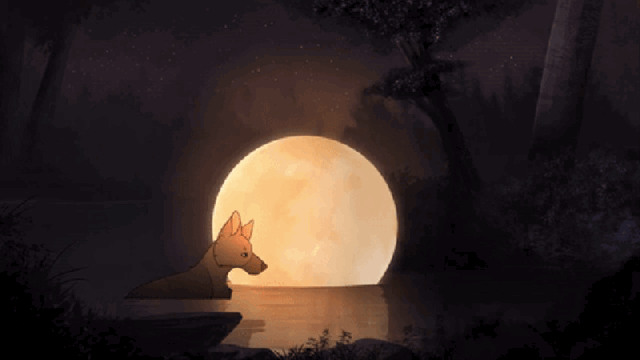 A Determined Wolf Completes Its Nightly Task In This Bewitching Short Film