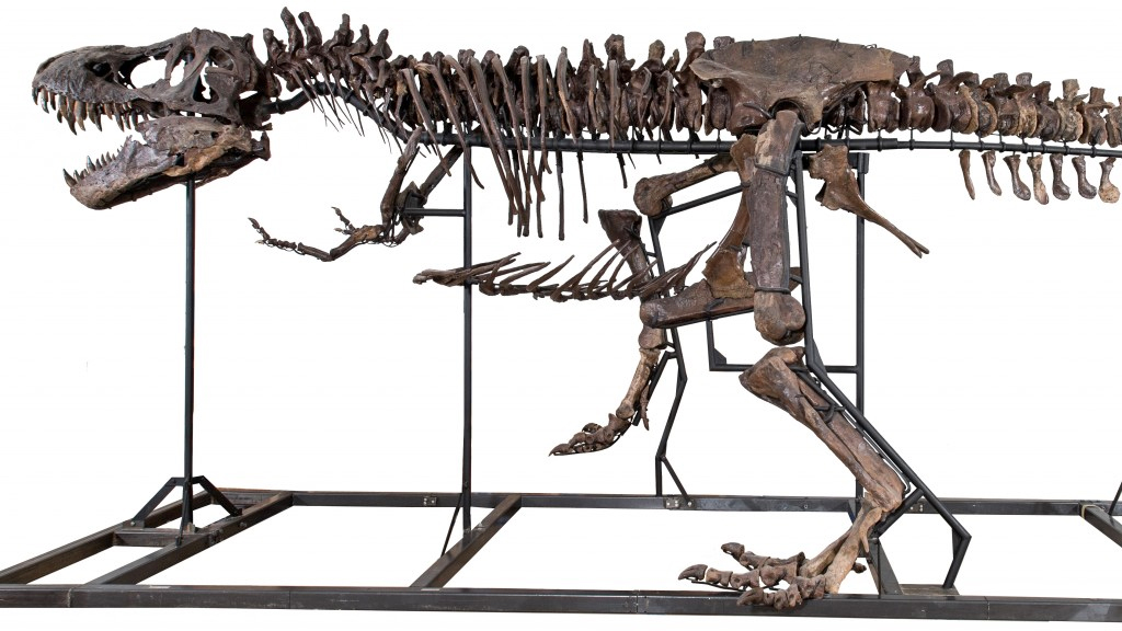 This $3.2 Million Half-Complete T-Rex Doesn’t Cost Money, It Makes Money