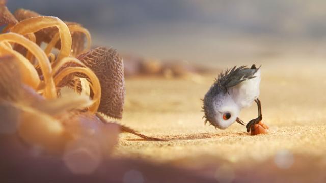 Here’s A Taste Of Pixar’s Adorable New Short Film, Piper