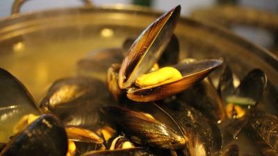 Something Strange And Terrible Is Happening To Mussels 