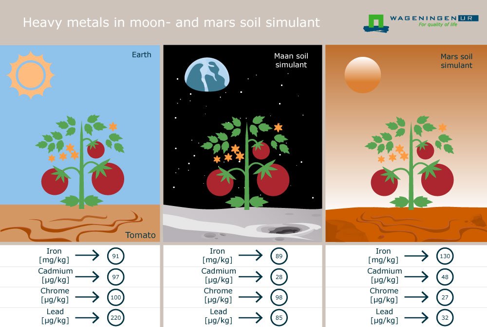 Hungry Scientists Will Soon Eat A Vegetable Grown In Martian Soil