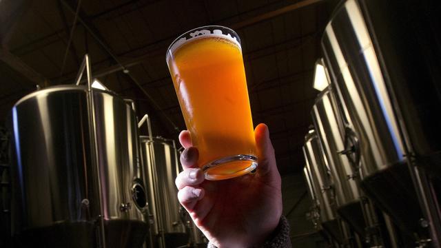 You Can Thank A Mysterious Yeast Mutation For The Invention Of Cold Beer