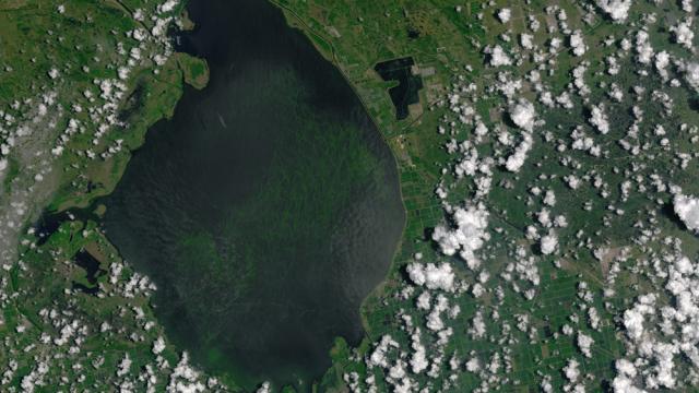 Florida’s Disgusting Algae Bloom Is Now Visible From Space