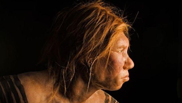 Neanderthals Ate Each Other And Used Their Bones As Tools