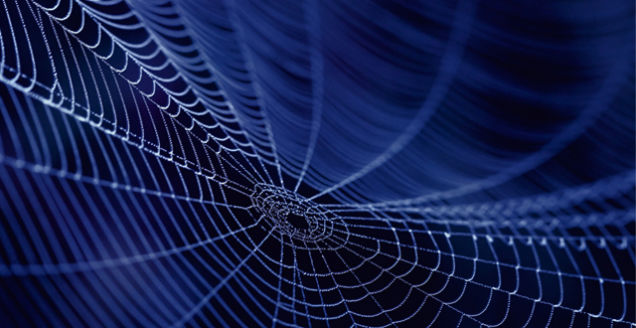The US Army Wants To Make Body Armour Out Of Genetically Engineered Spider Silk