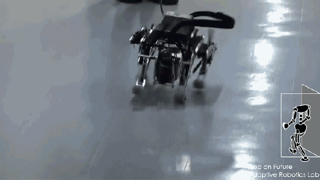 Hyper Little Dog-Bot Might Be The World’s First Robot Chihuahua