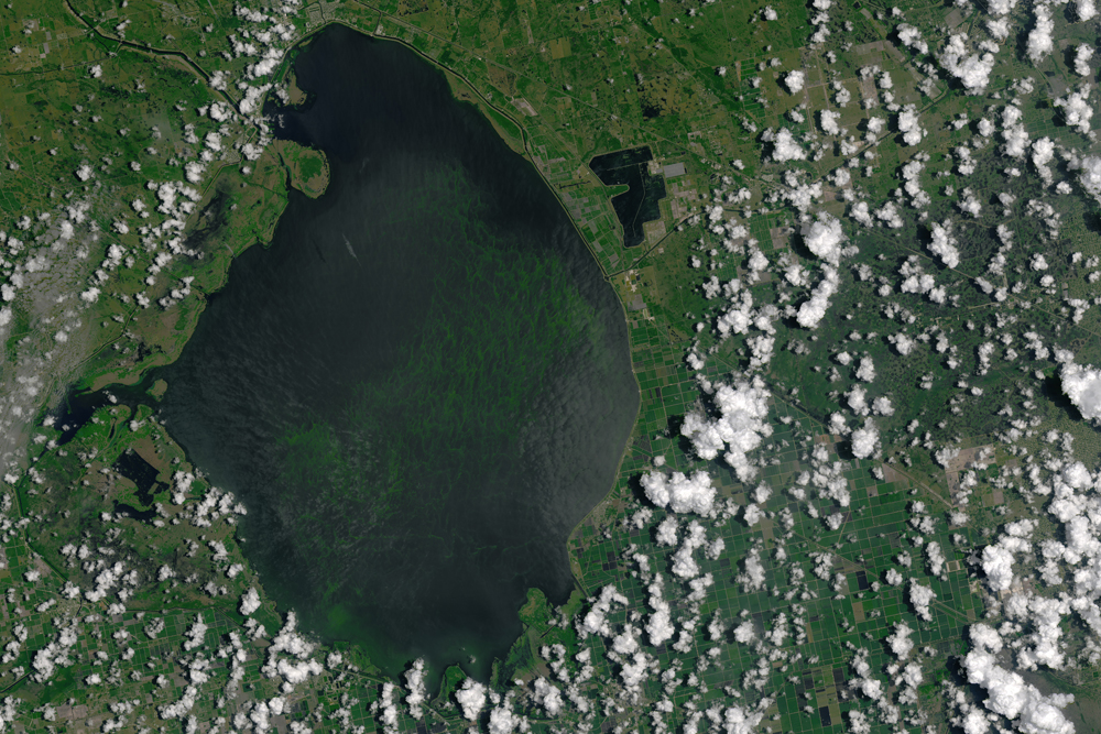 Florida’s Slime Coast Is A State-Sponsored Disaster