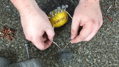 No, A Lemon Can’t Actually Start Fires And Here’s Why