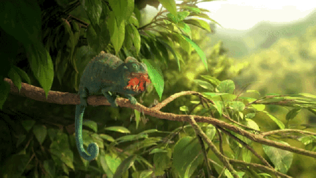 A Chameleon Redefines Gluttony In This Adorably Gross Animated Short