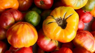 Scientists Are Closer Than Ever To Growing A Tomato That Ripens But Doesn’t Rot