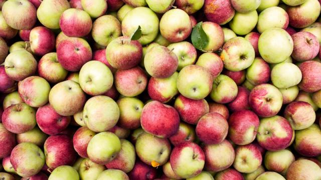 Researchers Just Figured Out A New Way To Keep Apples Fresh For Weeks