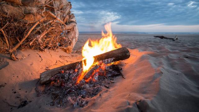 Ancient Campfires May Have Unleashed Humanity’s Top Bacterial Killer
