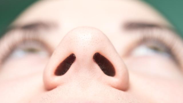 The Gunk Inside Our Noses Is Being Used To Produce The Next Great Antibiotic