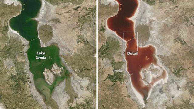 Why Did This Lake Suddenly Turn Blood Red?