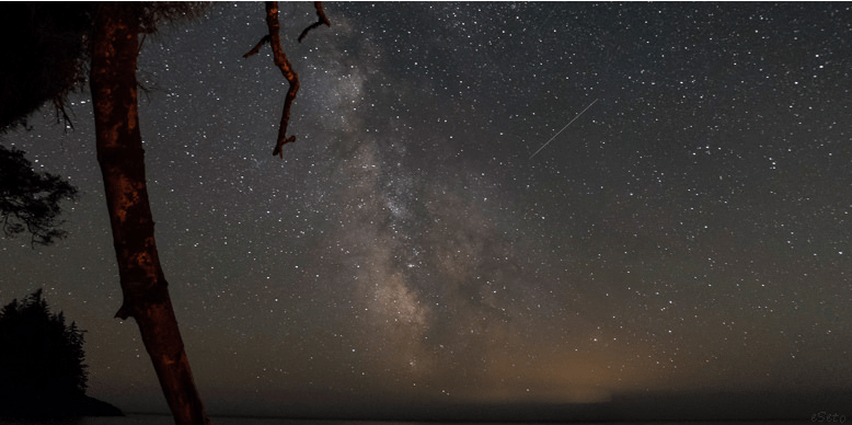 How To Watch Tonight’s Delta Aquarid Meteor Shower