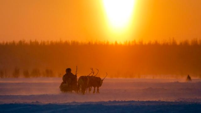 The Horrifying Reason Siberia Is Dealing With An Anthrax Outbreak