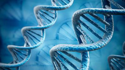 Scientists Used CRISPR Gene Editing To Stop Human Embryo Development
