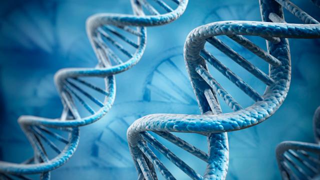 Genetic Data Could Identify Your Capacity To Commit Crime