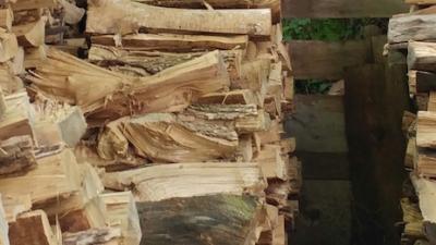 Can You Find The Cat Taking A Nap On This Pile Of Wood?