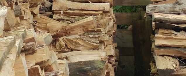 Can You Find The Cat Taking A Nap On This Pile Of Wood?