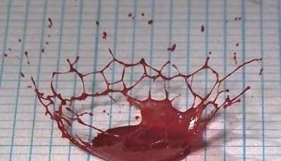 The Fascinating Physics Of Blood Splatters