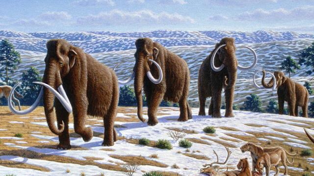 A Movie Is Being Made About The De-Extinction Of The Woolly Mammoth