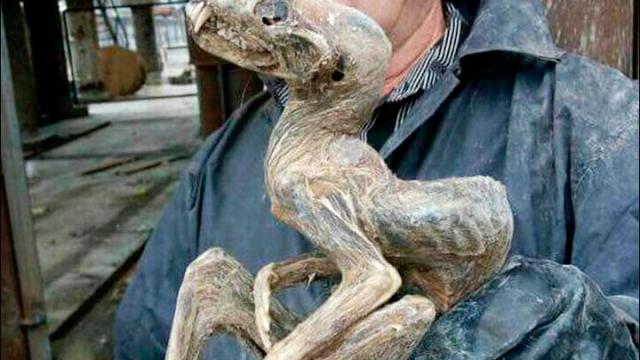 Siberian Miners Definitely Didn’t Just Find A Demon Baby