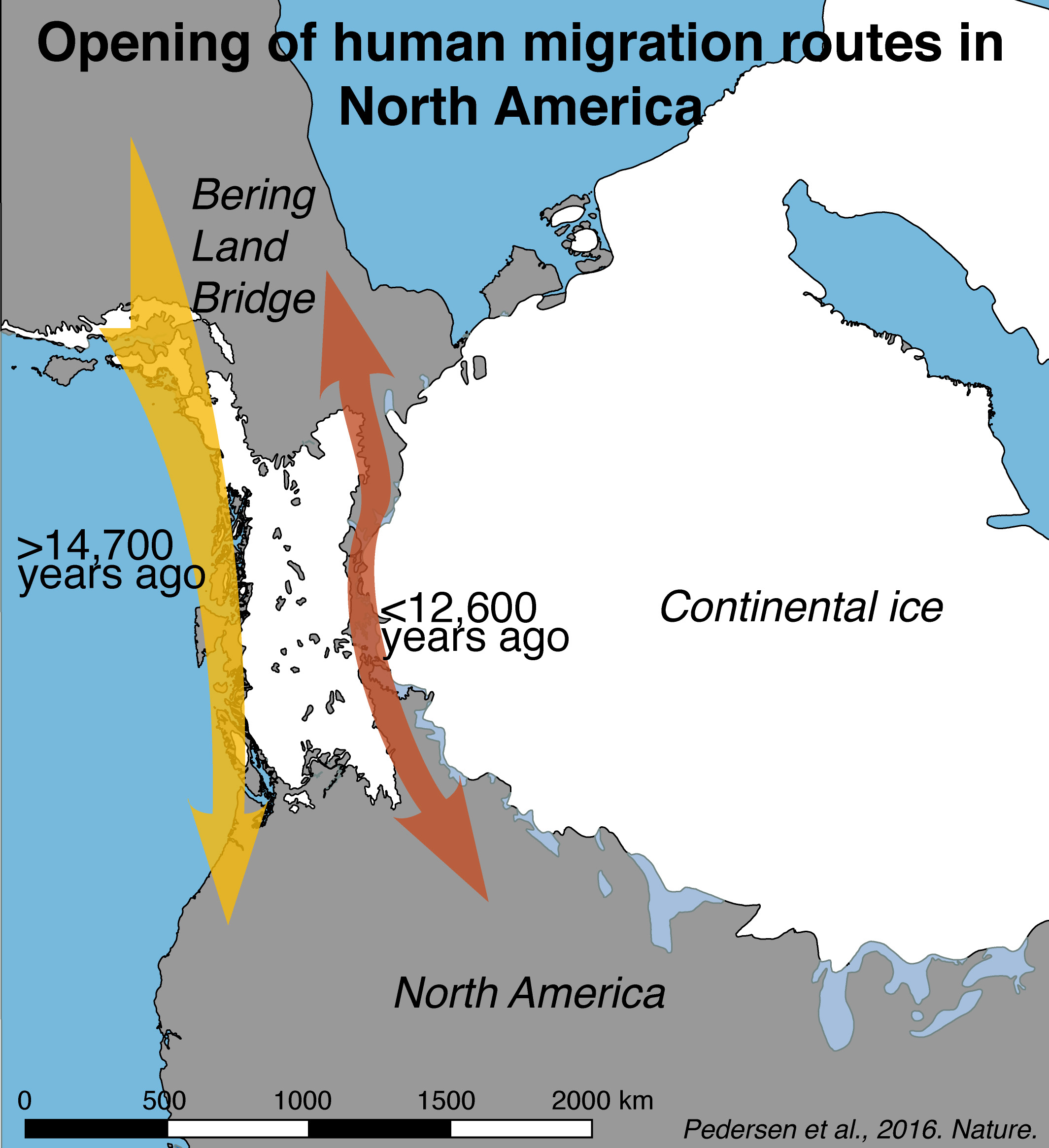 We Were Wrong About How Ancient Humans Colonised North America