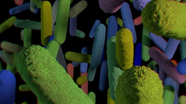 Are You Your Microbiome? Ed Yong Explains It All