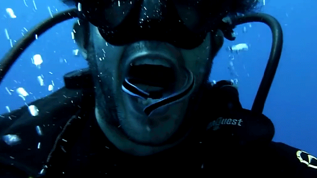 Diver Getting His Teeth Cleaned By Fish Is Viscerally Upsetting