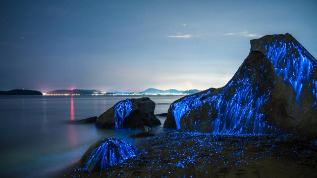 These Glowing Rocks Actually Capture One Of Nature’s Most Beautiful Phenomena 