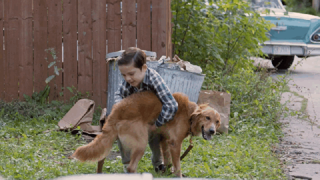 The First Trailer For The Dog Reincarnation Movie A Dog’s Purpose Is A Sociopathic Nightmare 
