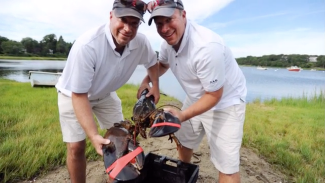 Majestic 10 Kilogram Lobster Dies After Being Released Into The Wild By Clueless Humans