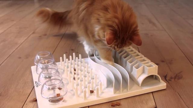Cats Are Happier And Healthier When You Make Them Work For Their Food