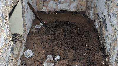 Hundreds Of Thousands Of Creepy Ants Found Chilling In An Abandoned Soviet Bunker 