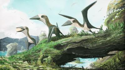This Bizarre Flying Reptile Was No Larger Than A Cat