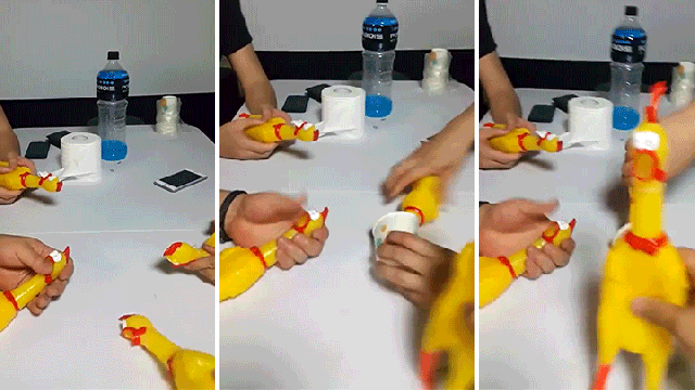 Check Out This Hot EDM Track Made From Just Rubber Chicken Sounds