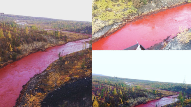 Why Did This Russian River Suddenly Turn Blood Red?