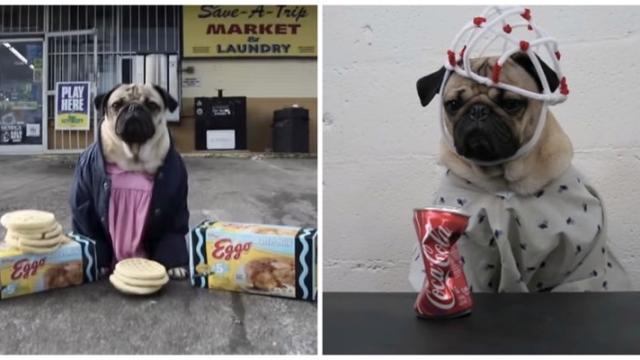And Now, A Pug Dresses Up Like All Of The Stranger Things Characters