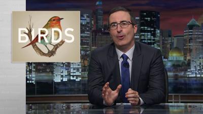 John Oliver Agrees That Birds Are Dicks