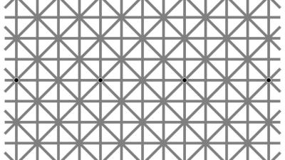 Can You See All 12 Black Dots At Once?