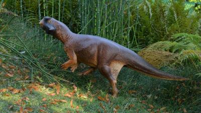 How This Weird Dinosaur Used Camouflage To Evade Predators
