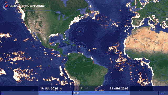 Watch 35,000 Fishing Vessels Move Around The World In This Map